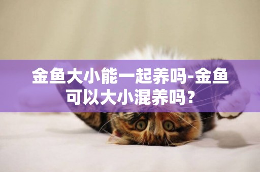 金魚大小能一起養嗎-金魚可以大小混養嗎？