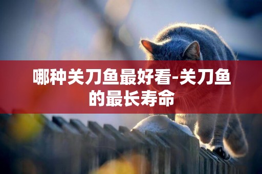 哪種關刀魚最好看-關刀魚的最長壽命