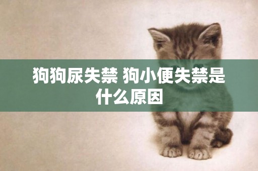狗狗尿失禁 狗小便失禁是什么原因