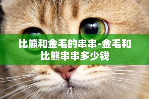 比熊和金毛的串串-金毛和比熊串串多少錢