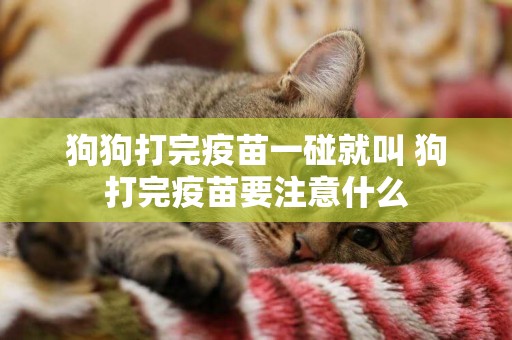 狗狗打完疫苗一碰就叫 狗打完疫苗要注意什么