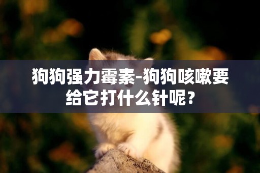 狗狗強力霉素-狗狗咳嗽要給它打什么針呢？