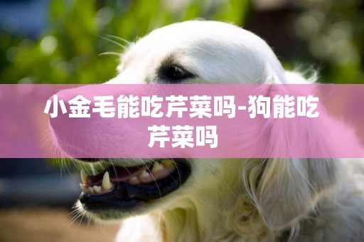 小金毛能吃芹菜嗎-狗能吃芹菜嗎