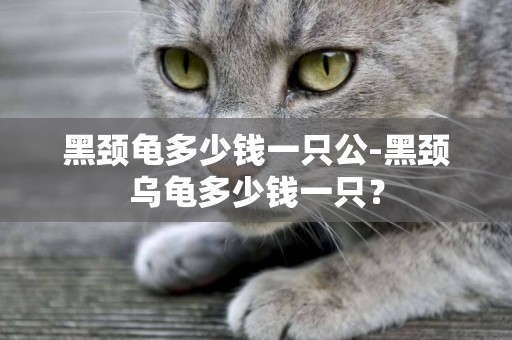 黑頸龜多少錢一只公-黑頸烏龜多少錢一只？