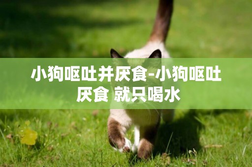 小狗嘔吐并厭食-小狗嘔吐 厭食 就只喝水
