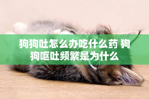 狗狗吐怎么辦吃什么藥 狗狗嘔吐頻繁是為什么