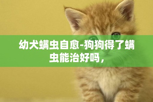 幼犬螨蟲自愈-狗狗得了螨蟲能治好嗎，