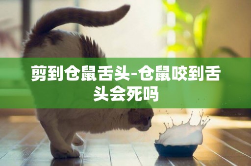 剪到倉鼠舌頭-倉鼠咬到舌頭會死嗎