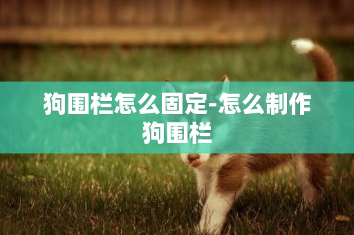 狗圍欄怎么固定-怎么制作狗圍欄