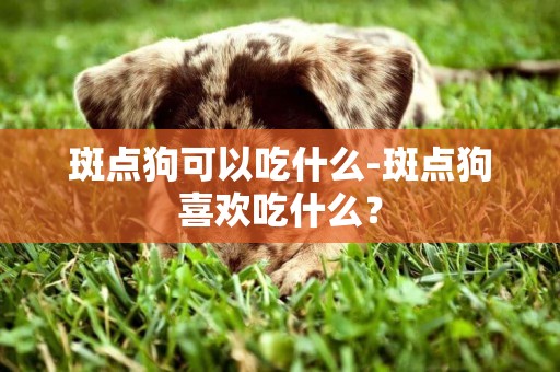 斑點狗可以吃什么-斑點狗喜歡吃什么？
