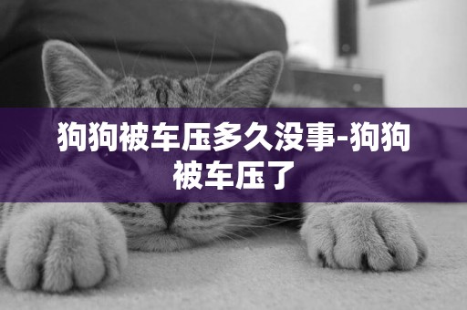 狗狗被車壓多久沒事-狗狗被車壓了