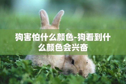 狗害怕什么顏色-狗看到什么顏色會興奮
