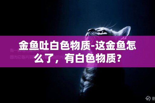 金魚吐白色物質-這金魚怎么了，有白色物質？