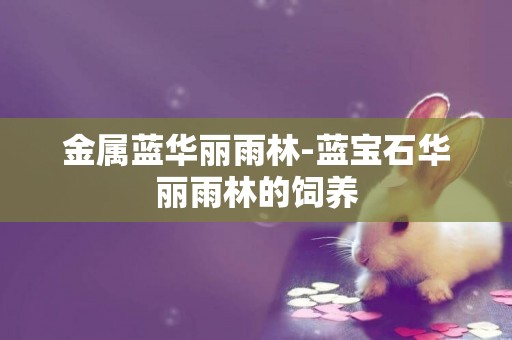 金屬藍華麗雨林-藍寶石華麗雨林的飼養