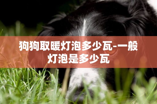狗狗取暖燈泡多少瓦-一般燈泡是多少瓦