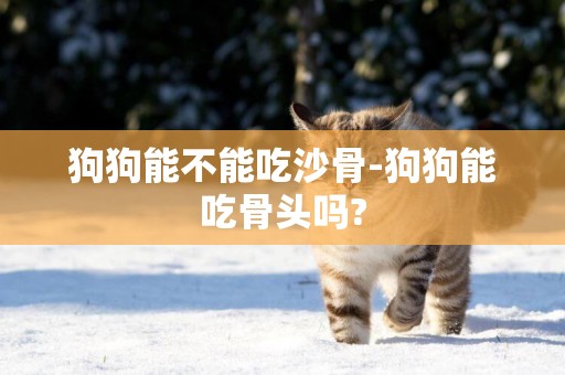 狗狗能不能吃沙骨-狗狗能吃骨頭嗎?