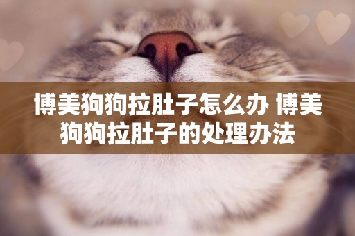 博美狗狗拉肚子怎么辦 博美狗狗拉肚子的處理辦法