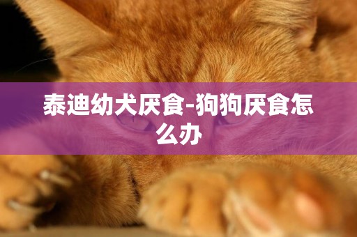 泰迪幼犬厭食-狗狗厭食怎么辦