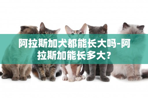 阿拉斯加犬都能長大嗎-阿拉斯加能長多大？