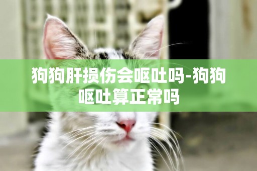 狗狗肝損傷會嘔吐嗎-狗狗嘔吐算正常嗎