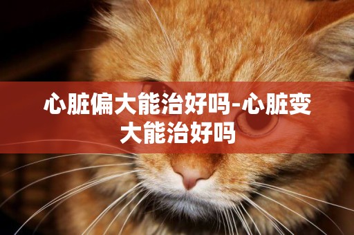 心臟偏大能治好嗎-心臟變大能治好嗎