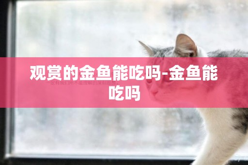 觀賞的金魚能吃嗎-金魚能吃嗎