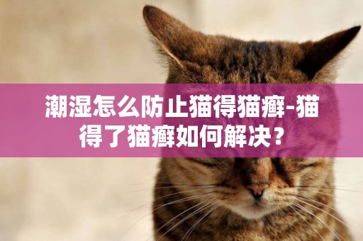 潮濕怎么防止貓得貓癬-貓得了貓癬如何解決？