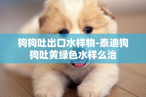 狗狗吐出口水樣物-泰迪狗狗吐黃綠色水樣么治