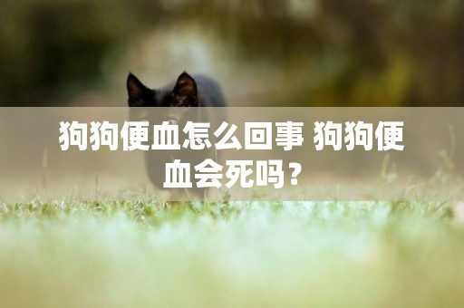 狗狗便血怎么回事 狗狗便血會死嗎？