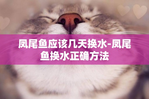 鳳尾魚應該幾天換水-鳳尾魚換水正確方法