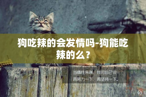 狗吃辣的會發情嗎-狗能吃辣的么？