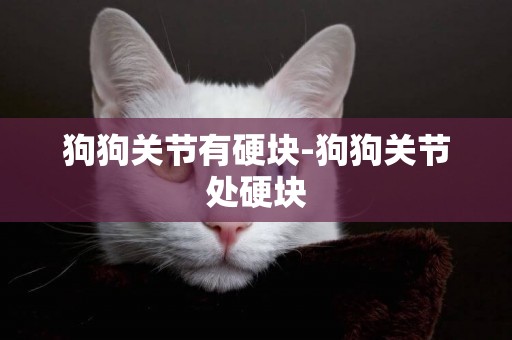 狗狗關節有硬塊-狗狗關節處硬塊