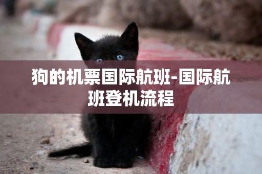 狗的機票國際航班-國際航班登機流程