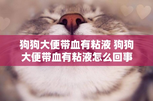 狗狗大便帶血有粘液 狗狗大便帶血有粘液怎么回事