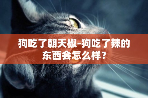 狗吃了朝天椒-狗吃了辣的東西會怎么樣？