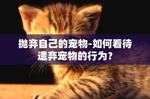 拋棄自己的寵物-如何看待遺棄寵物的行為？