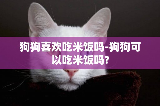 狗狗喜歡吃米飯嗎-狗狗可以吃米飯嗎?