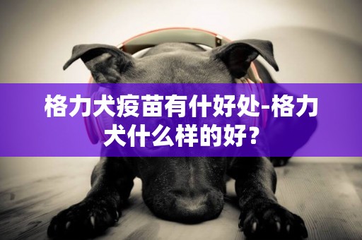 格力犬疫苗有什好處-格力犬什么樣的好？