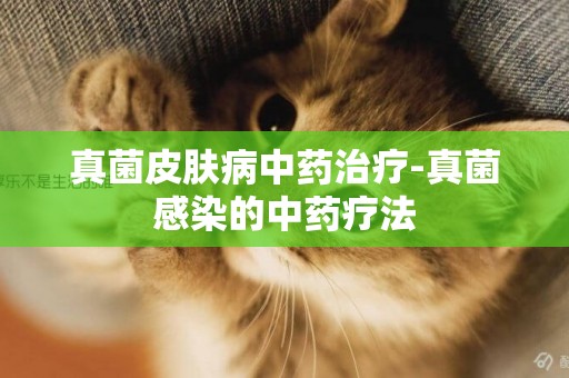 真菌皮膚病中藥治療-真菌感染的中藥療法