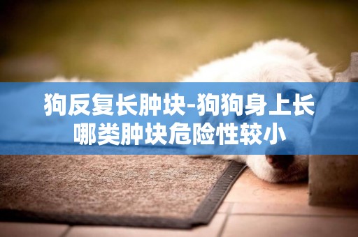 狗反復長腫塊-狗狗身上長哪類腫塊危險性較小