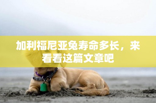 加利福尼亞兔壽命多長，來看看這篇文章吧