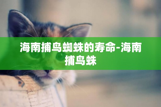 海南捕鳥蜘蛛的壽命-海南捕鳥蛛