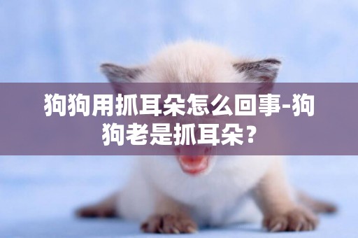 狗狗用抓耳朵怎么回事-狗狗老是抓耳朵？