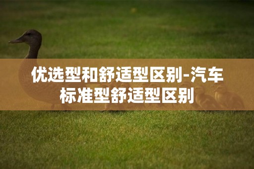 優選型和舒適型區別-汽車標準型舒適型區別