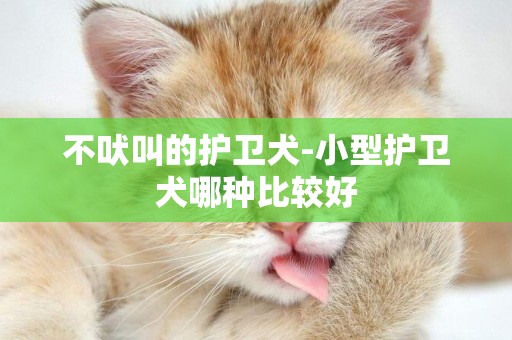 不吠叫的護衛犬-小型護衛犬哪種比較好