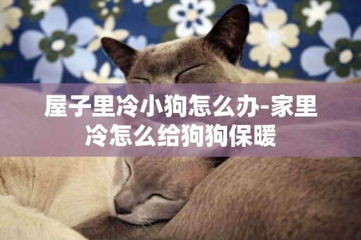 屋子里冷小狗怎么辦-家里冷怎么給狗狗保暖