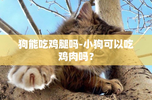 狗能吃雞腿嗎-小狗可以吃雞肉嗎？