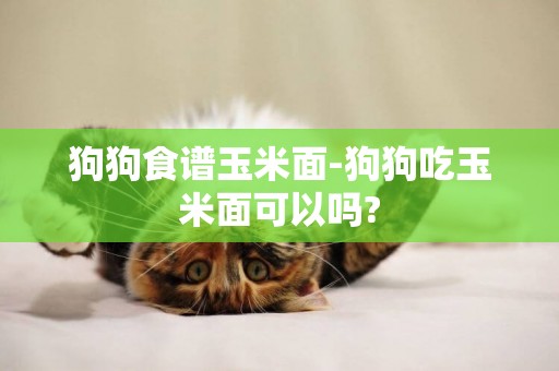 狗狗食譜玉米面-狗狗吃玉米面可以嗎?