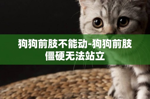 狗狗前肢不能動-狗狗前肢僵硬無法站立