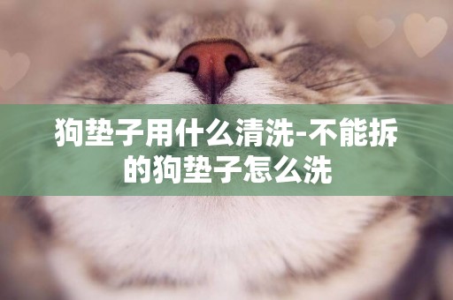 狗墊子用什么清洗-不能拆的狗墊子怎么洗